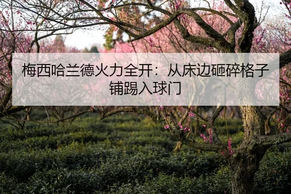 梅西哈兰德火力全开：从床边砸碎格子铺踢入球门（heibaisports）